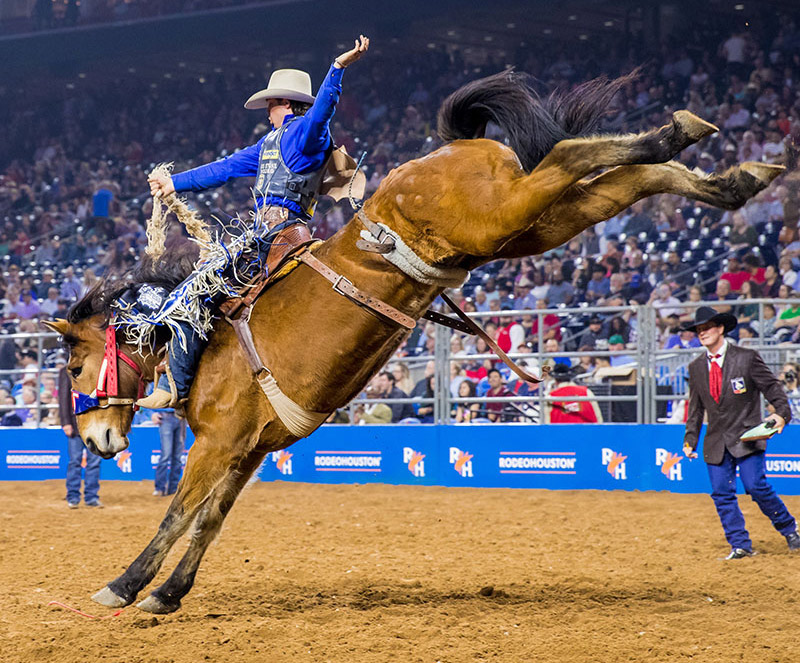 Campgrounds near Rodeo Houston Houston Livestock Show and Rodeo