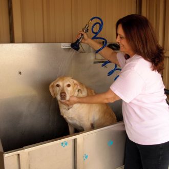 All Star RV Resort Dog Wash