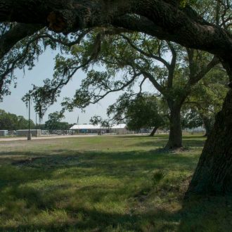 Brazoria Lakes RV Resort entrance with tree