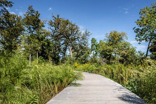 Houston Arboretum & Nature Center trails