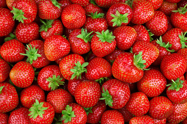 strawberry season in texas