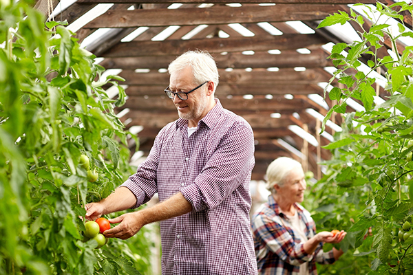 pick your own farms