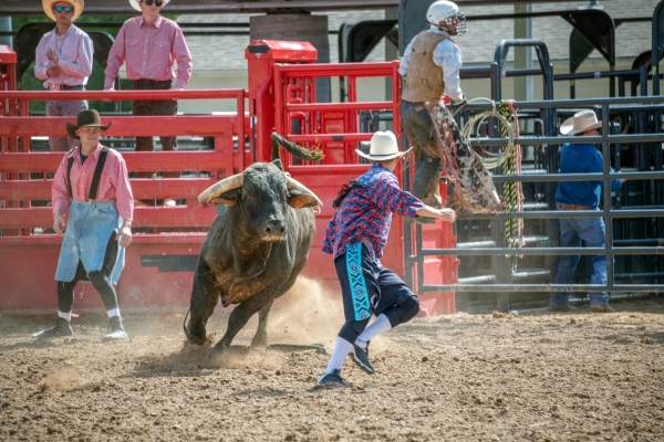 Rodeo Clowns