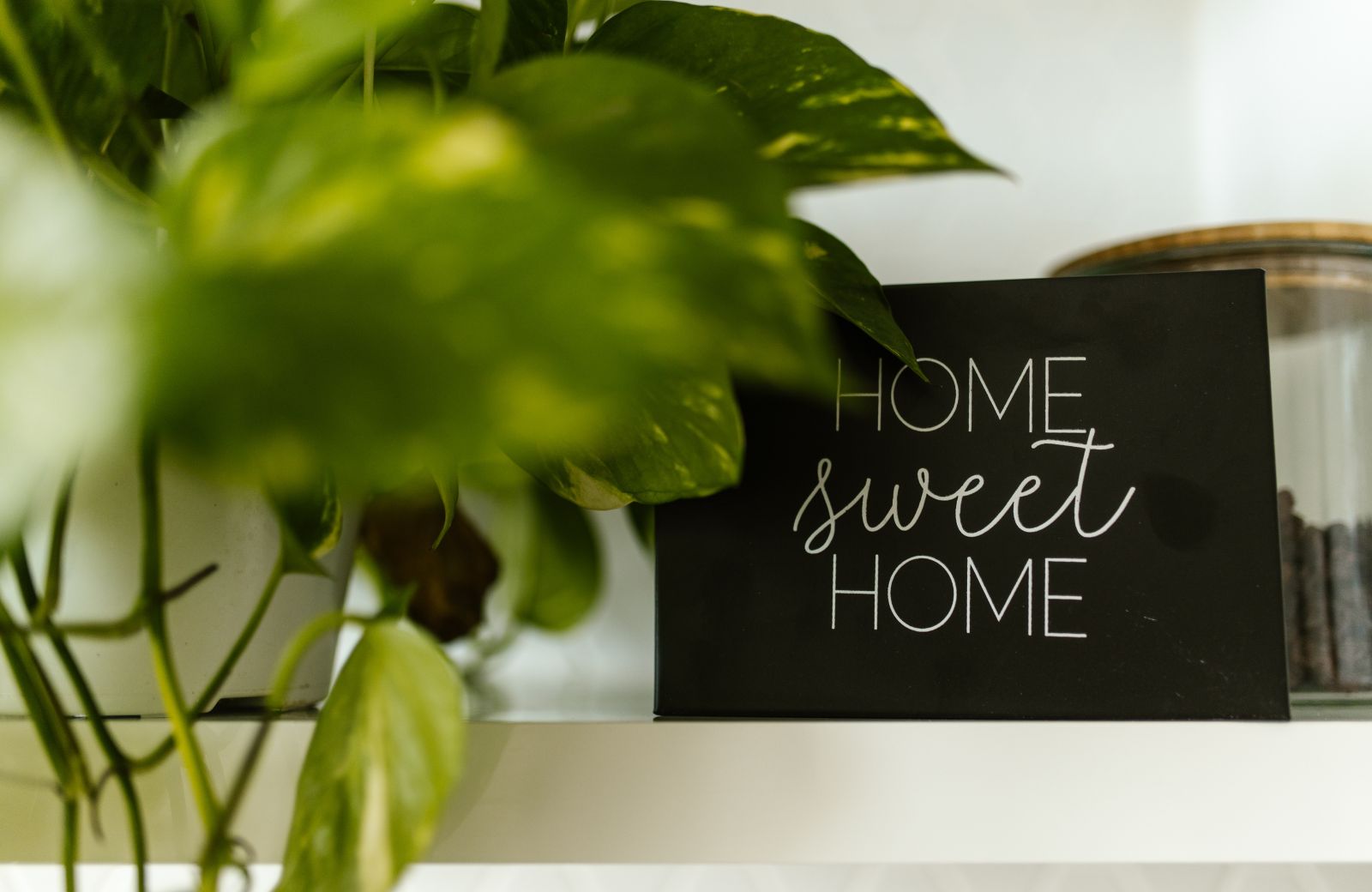 Making Every Stay a Home Away from Home at Quality RV Resorts